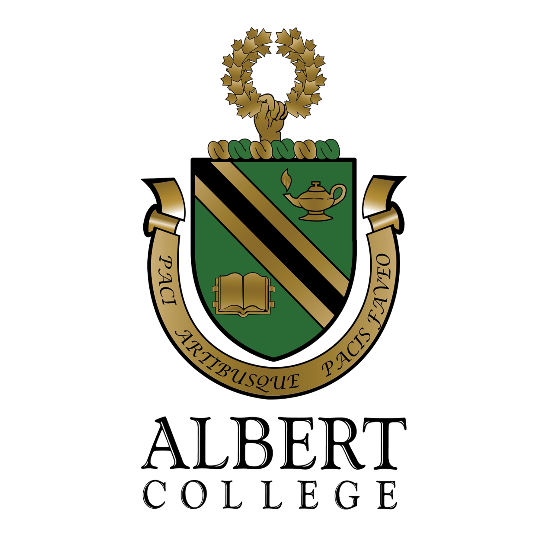 Albert College Частная школа Альберт Колледж